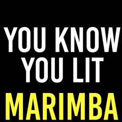 You Know You Lit Marimba Ringtone - Dobre Brothers