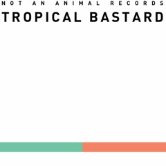 PREMIERE: Man Power - Tropical Bastard 2 (Frank T Butters Remix)[Not An Animal]