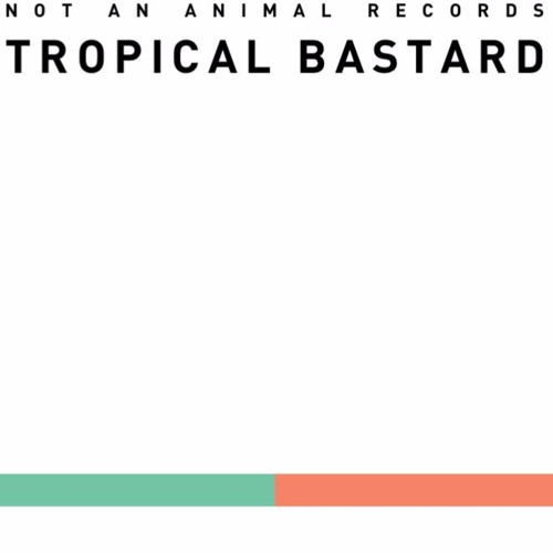 PREMIERE: Man Power - Tropical Bastard 2 (Frank T Butters Remix)[Not An Animal]