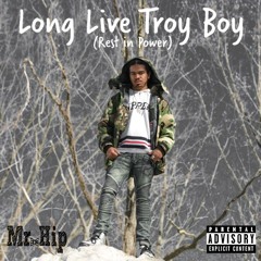 Long Live Troy Boy (Prod. by JW Sargent)