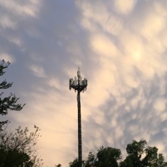 shots made (2012-2017)