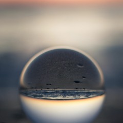 砂漠に雨