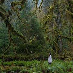 Spirit of the forest