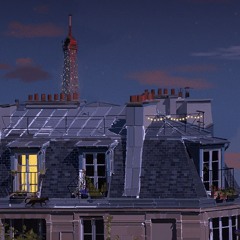parisian rooftops