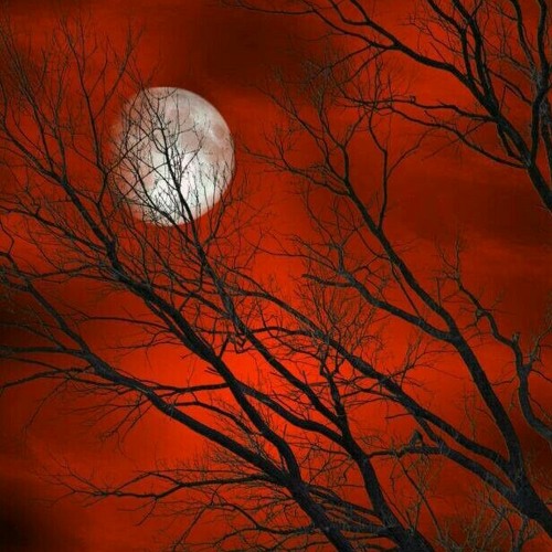 الشيخ عبد الرحمن العوسى سورة الحاقه