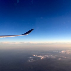 Fly High