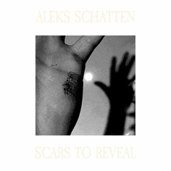 I Lost My Heart Midway To Your Place