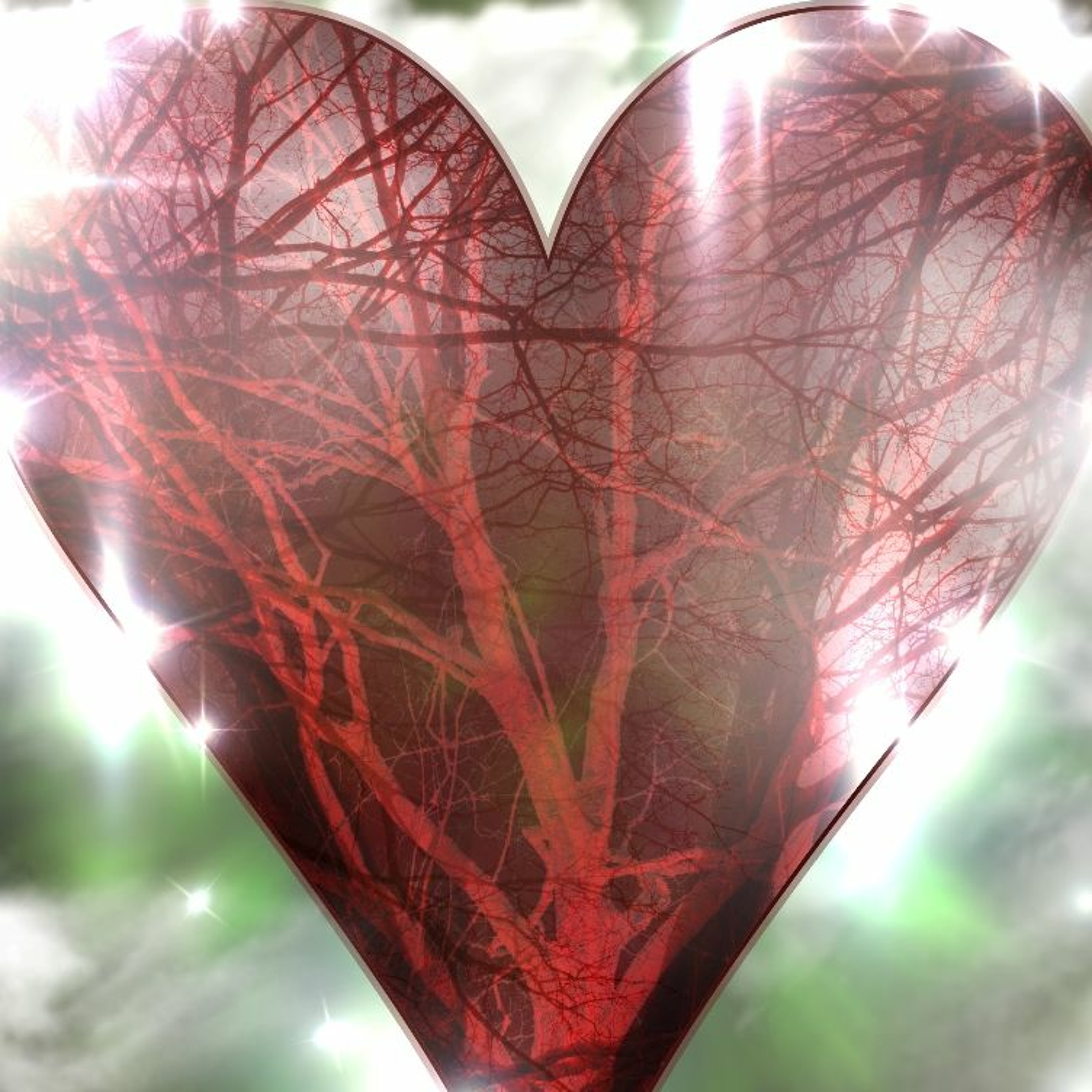 Healing Touch with Sharon Myrah Episode 28 Circulatory System