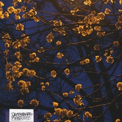 shaving cream steez (feat. Bill Grease)