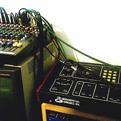 Another Day In Fukin Paradise