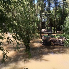 The Boy Of The River