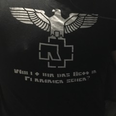 I Swear Its A Band Shirt, Not Nazi Propaganda