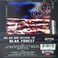 Blak Forest feat. Circle of Power and Landmines - The Fourth Quarter (1997)