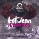 on BTMFD076 - Scotti - Between Ironies (Original Mix)