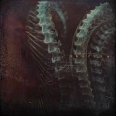 TRACK 1 Antediluvian Love Song