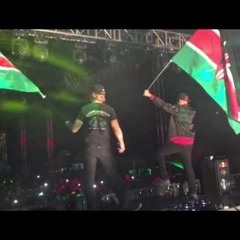 MAJOR LAZER LIVE-04.14.2017 Kenya Show