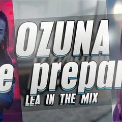 Se Preparó ✘ LEA IN THE MIX