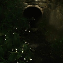 ambient drone