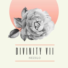 Divinity VII