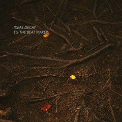 Ideas Decay