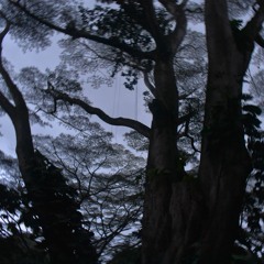 Tracks To Get Lost In