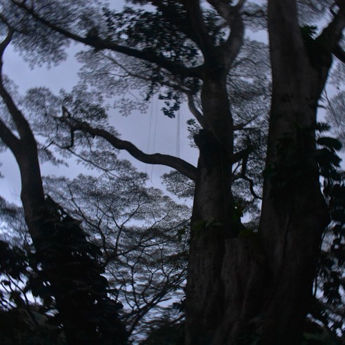 Tracks To Get Lost In