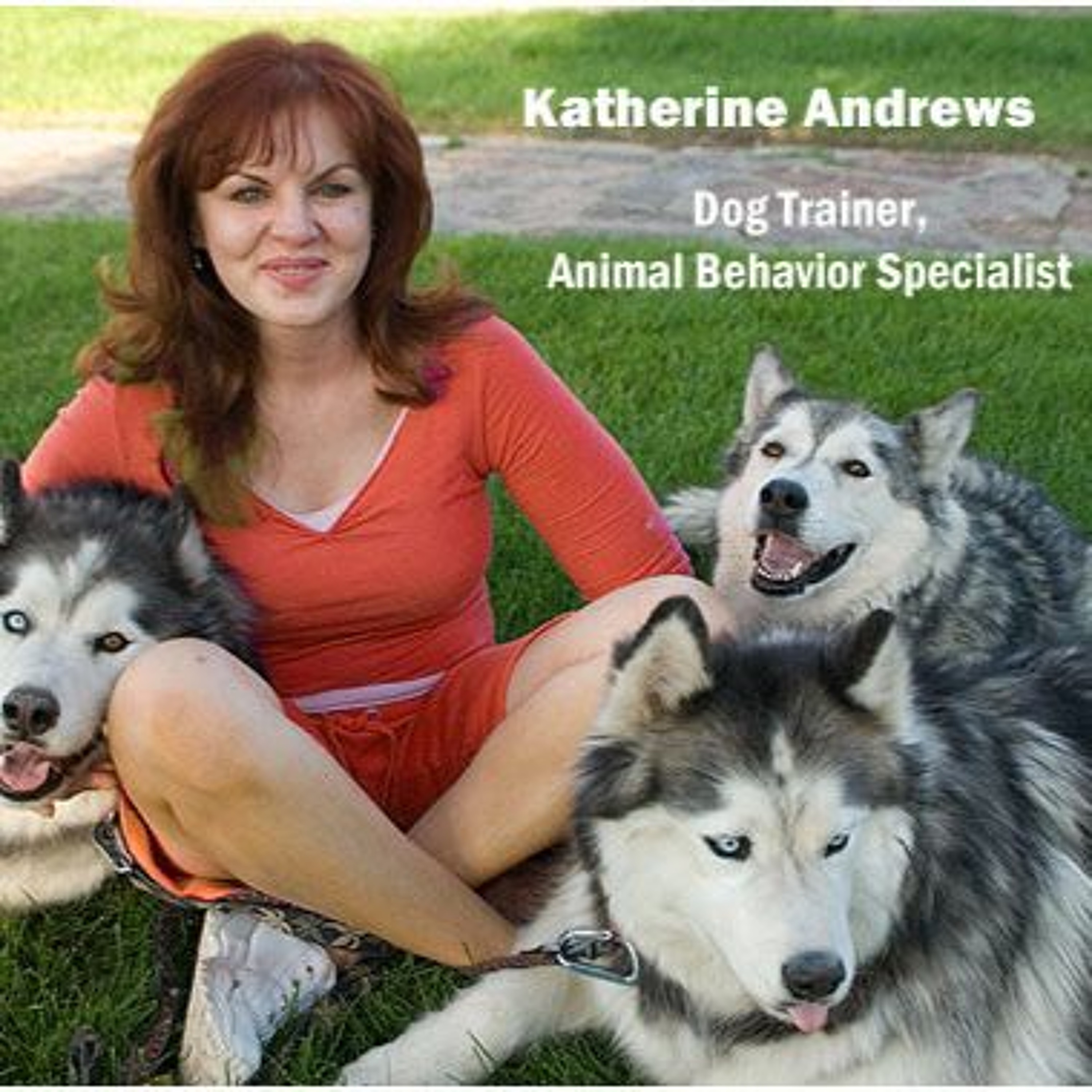 Pet Psychology with Katherine Andrews