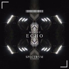 ECHO (Original Mix) RELEASED SPECTRUM RECORDINGS