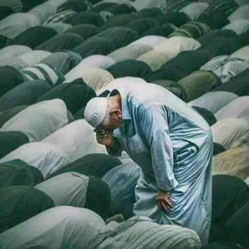 "وَعِبَادُ الرَّحْمَٰنِ الَّذِينَ يَمْشُونَ عَلَى الْأَرْضِ هَوْنًا"