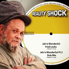 Fred Locks - Jah Is Wonderful (Reality Shock Records 10")