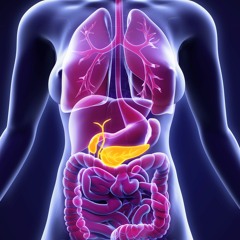 胰島素與血糖的關係