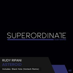 Rudy Ripani - Black Hole (Vontech Remix)