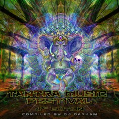 08_Cryptophonix - Evil Destroyer 155 (VA_TantraMusicFest#4)