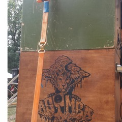 RootsRockReggae #1 Asimba Selection