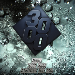 Endor - 3000 Bass Exclusive Mix 089