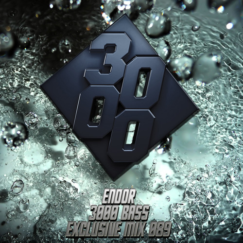 Endor - 3000 Bass Exclusive Mix 089
