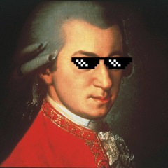 Mozart Fucker By THE FREAK FACTORY (Metrik Vs The Mister X)