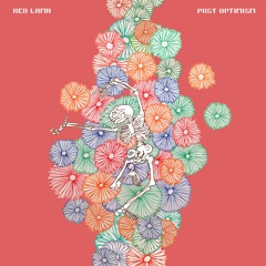 Red Lama - Post Optimism