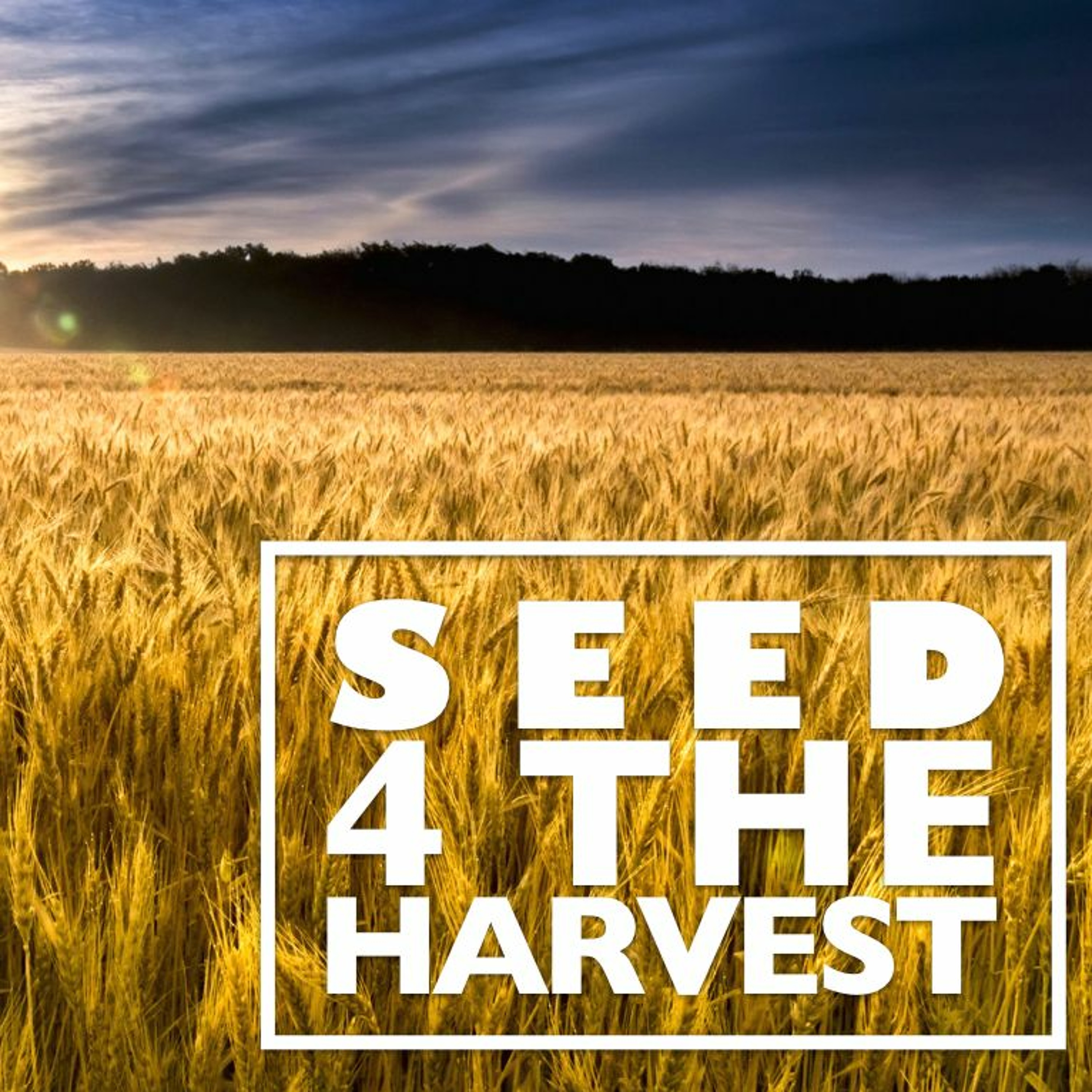 Seed for the Harvest episode artwork
