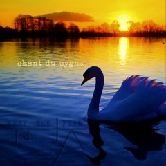 Chant Du Cygne