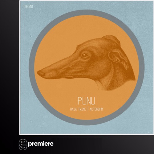 Premiere: Punu - Haja Twins (Obsolescent)