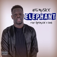Elephant (feat. RaysMuzik & Sona)