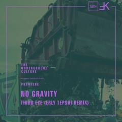 PREMIERE: NO GRAVITY - Third Eye (Erly Tepshi Remix) [Feinkost Records]