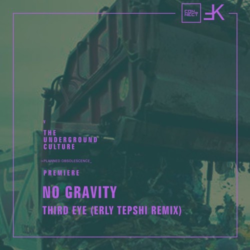 PREMIERE: NO GRAVITY - Third Eye (Erly Tepshi Remix) [Feinkost Records]