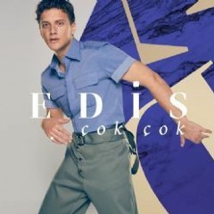 EDIS - COK COK (UGUR AYKURT VERSIYON)