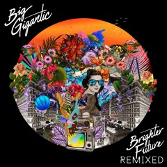 Big Gigantic - Got The Love (The Funk Hunters Remix)