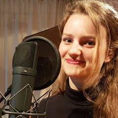 Janis Ian - At Seventeen (Cover Sofie de Bruijn)