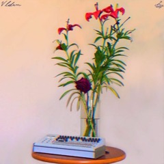 Vlaadsoon - Motivos Ocultos