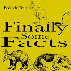 Episode Four: Finally Some Facts