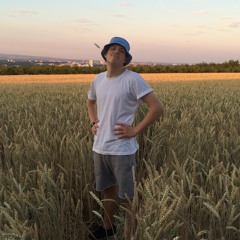 Wer ist dieser Hobbit? / Hängemattencruiser